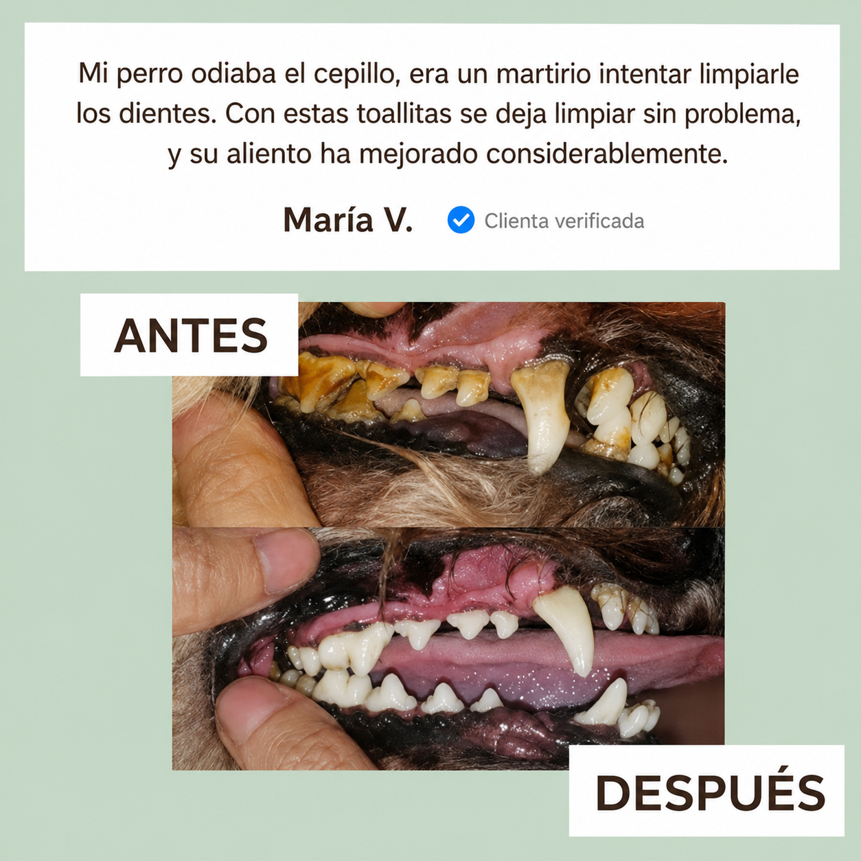 Toallitas Dentales de Dedo Kaelith Pets
