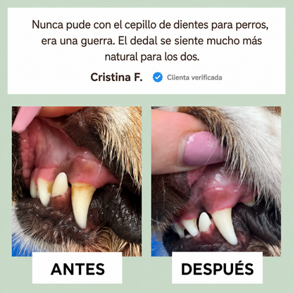 Toallitas Dentales de Dedo Kaelith Pets