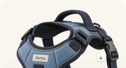 Hertta No-Pull Winter Harness